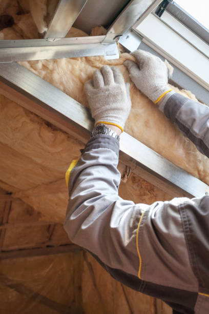 Best Specialized Insulation Services in Vandercook Lake, MI