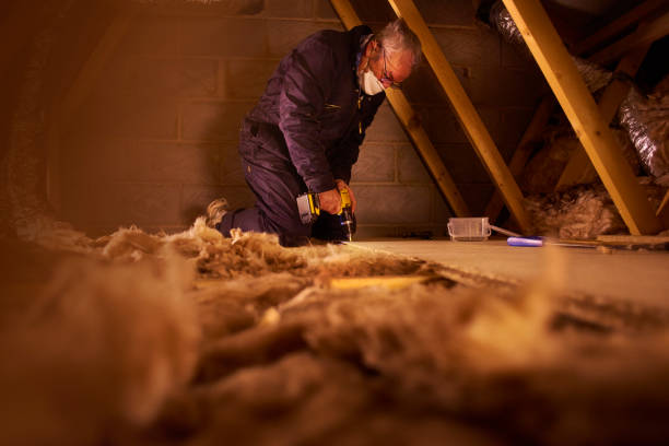 Best Insulation Maintenance and Repair in Vandercook Lake, MI